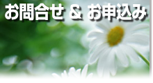 お問合せお申込み