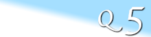 スペシャルプラン